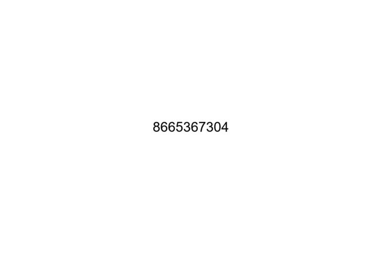 8665367304