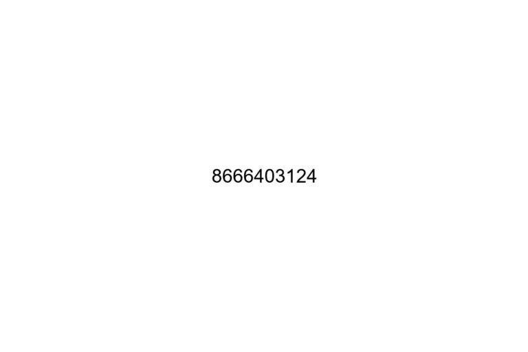 8666403124