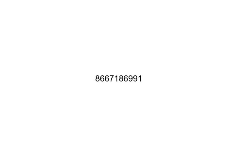 8667186991