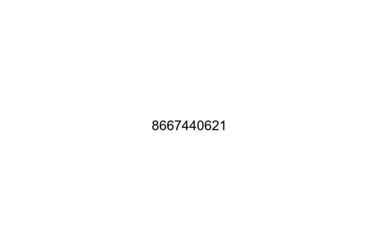 8667440621