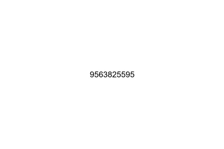 9563825595