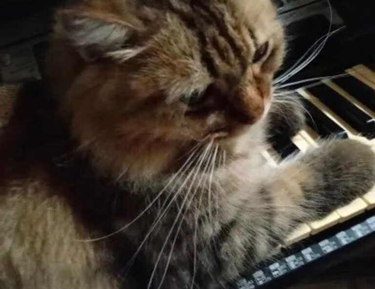 1880100070747600000002170000