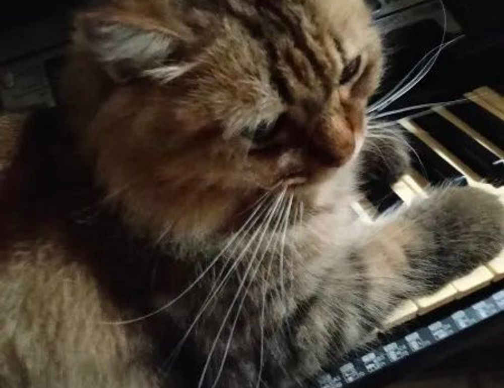 1880100070747600000002170000