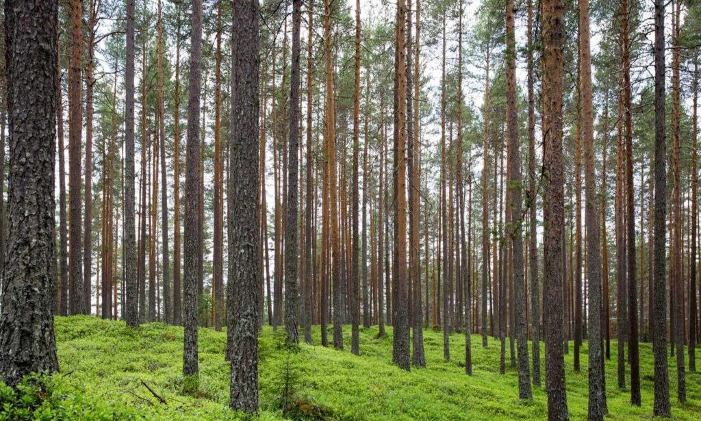 1880100072914700000002170000