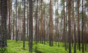 1880100072914700000002170000