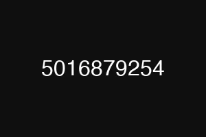 5016879254