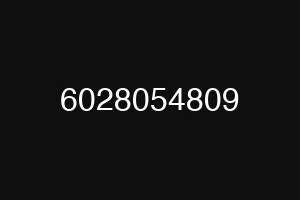 6028054809