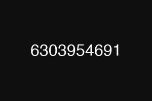 6303954691
