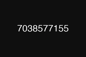 7038577155