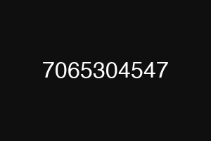7065304547
