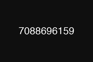 7088696159