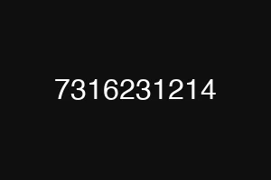 7316231214