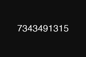 7343491315