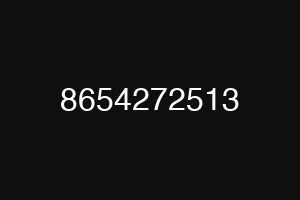 8654272513