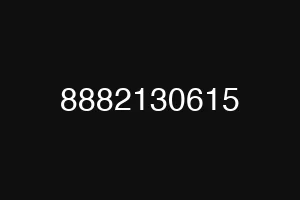 8882130615