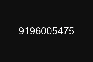 9196005475