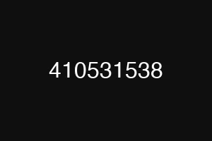 410531538