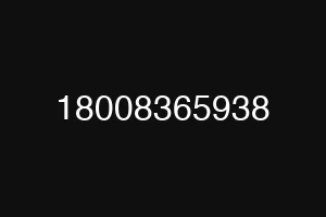 18008365938