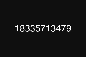 18335713479