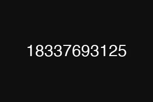 18337693125