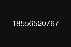 18556520767