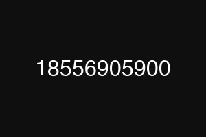 18556905900