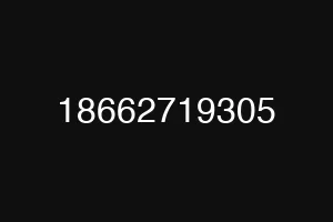 18662719305