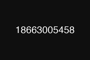 18663005458