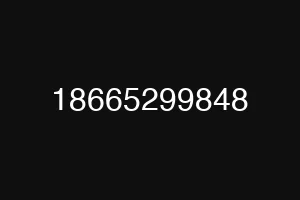 18665299848