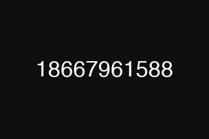 18667961588