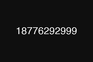 18776292999
