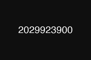 2029923900