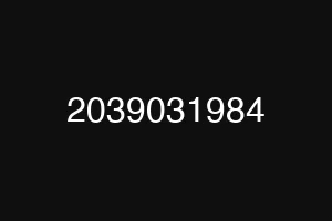 2039031984