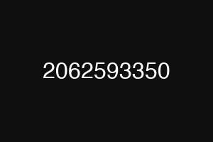 2062593350