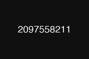 2097558211