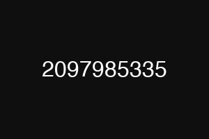 2097985335