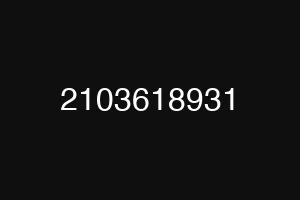 2103618931