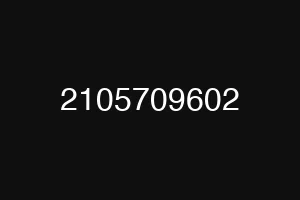 2105709602