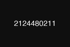 2124480211