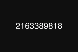 2163389818