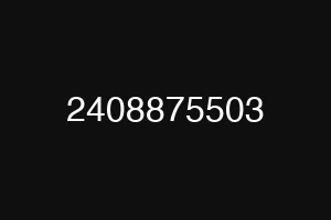 2408875503