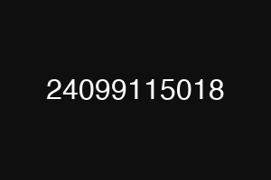 24099115018