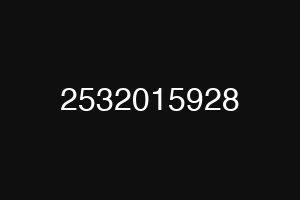 2532015928