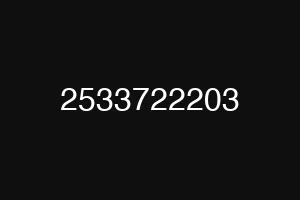 2533722203