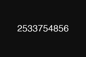 2533754856