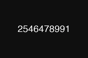 2546478991