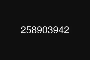 258903942