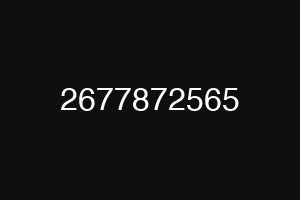 2677872565