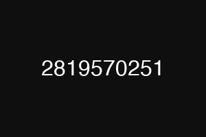 2819570251
