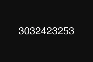 3032423253